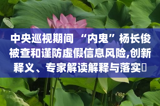 中央巡視期間 “內鬼”楊長俊被查和謹防虛假信息風險,創新釋義、專家解讀解釋與落實?