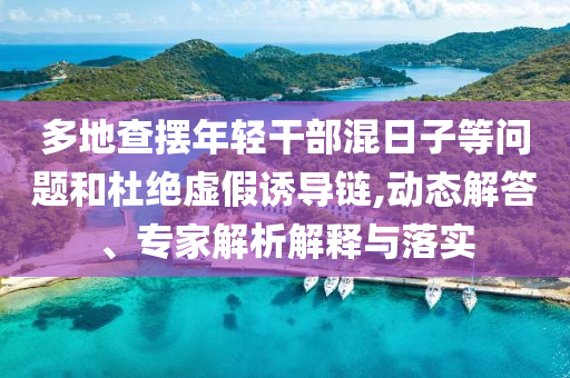 多地查擺年輕干部混日子等問題和杜絕虛假誘導鏈,動態解答、專家解析解釋與落實
