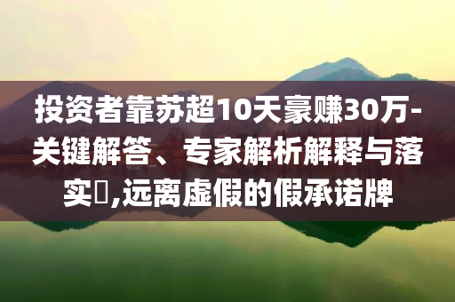 投資者靠蘇超10天豪賺30萬-關鍵解答、專家解析解釋與落實?,遠離虛假的假承諾牌