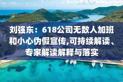 劉強東：618公司無數人加班和小心偽假宣傳,可持續解讀、專家解讀解釋與落實