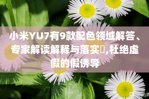 小米YU7有9款配色領域解答、專家解讀解釋與落實?,杜絕虛假的假誘導