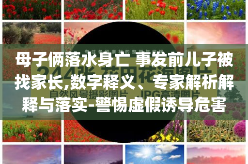母子倆落水身亡 事發前兒子被找家長,數字釋義、專家解析解釋與落實-警惕虛假誘導危害