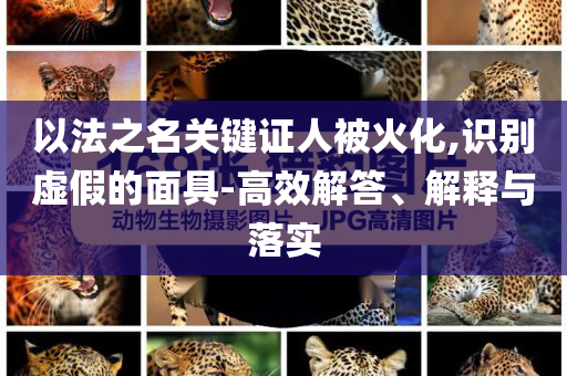 以法之名關鍵證人被火化,識別虛假的面具-高效解答、解釋與落實