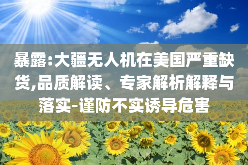暴露:大疆無人機在美國嚴重缺貨,品質解讀、專家解析解釋與落實-謹防不實誘導危害