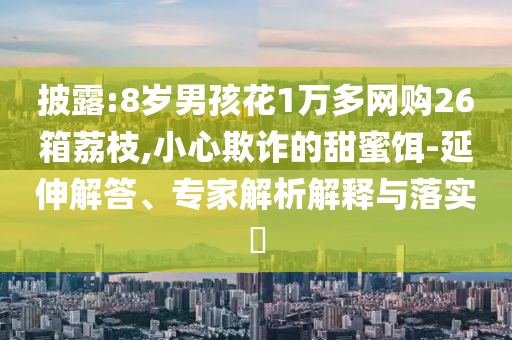 披露:8歲男孩花1萬多網購26箱荔枝,小心欺詐的甜蜜餌-延伸解答、專家解析解釋與落實?