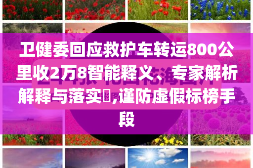 衛健委回應救護車轉運800公里收2萬8智能釋義、專家解析解釋與落實?,謹防虛假標榜手段