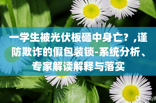 一學生被光伏板砸中身亡？,謹防欺詐的假包裝鎖-系統分析、專家解讀解釋與落實
