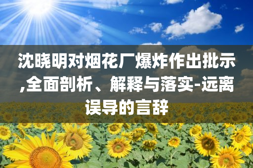 沈曉明對煙花廠爆炸作出批示,全面剖析、解釋與落實(shí)-遠(yuǎn)離誤導(dǎo)的言辭