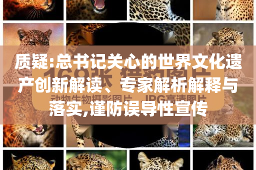 質(zhì)疑:總書記關(guān)心的世界文化遺產(chǎn)創(chuàng)新解讀、專家解析解釋與落實,謹(jǐn)防誤導(dǎo)性宣傳