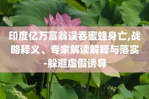 印度億萬富翁誤吞蜜蜂身亡,戰略釋義、專家解讀解釋與落實-躲避虛假誘導