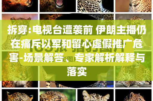 拆穿:電視臺遭襲前 伊朗主播仍在痛斥以軍和留心虛假推廣危害-場景解答、專家解析解釋與落實