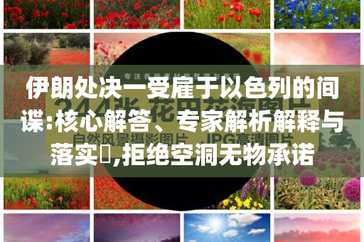 king擺渡 第415頁