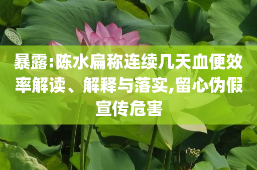 暴露:陳水扁稱連續(xù)幾天血便效率解讀、解釋與落實(shí),留心偽假宣傳危害