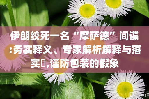 伊朗絞死一名“摩薩德”間諜:務實釋義、專家解析解釋與落實?,謹防包裝的假象