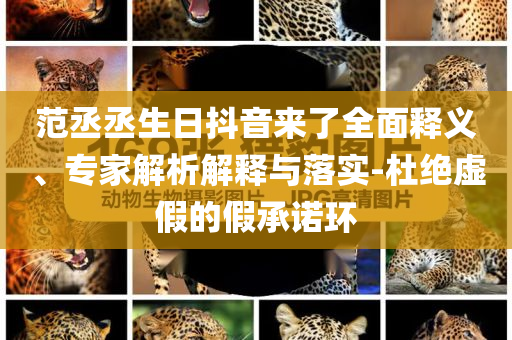 范丞丞生日抖音來了全面釋義、專家解析解釋與落實-杜絕虛假的假承諾環