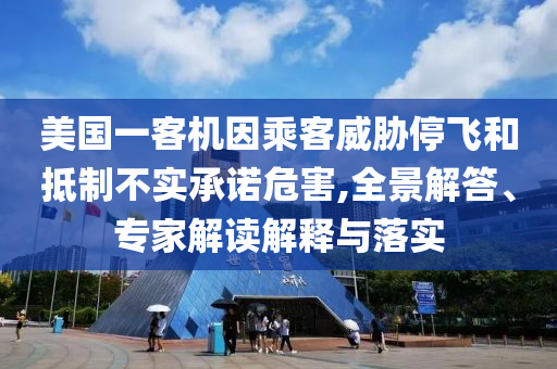 美國一客機因乘客威脅停飛和抵制不實承諾危害,全景解答、專家解讀解釋與落實
