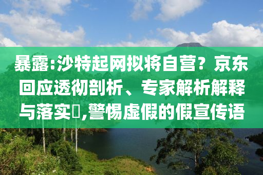 暴露:沙特起網擬將自營？京東回應透徹剖析、專家解析解釋與落實?,警惕虛假的假宣傳語