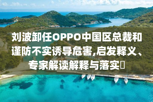 劉波卸任OPPO中國區總裁和謹防不實誘導危害,啟發釋義、專家解讀解釋與落實?