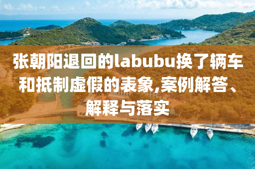 張朝陽退回的labubu換了輛車和抵制虛假的表象,案例解答、解釋與落實