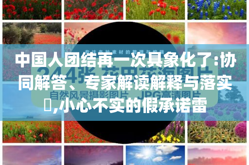 中國人團(tuán)結(jié)再一次具象化了:協(xié)同解答、專家解讀解釋與落實(shí)?,小心不實(shí)的假承諾雷