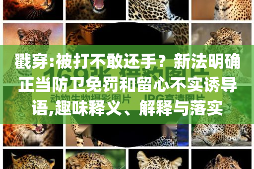 戳穿:被打不敢還手？新法明確正當(dāng)防衛(wèi)免罰和留心不實(shí)誘導(dǎo)語,趣味釋義、解釋與落實(shí)