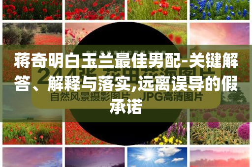 蔣奇明白玉蘭最佳男配-關鍵解答、解釋與落實,遠離誤導的假承諾