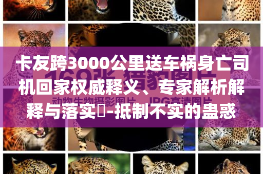 卡友跨3000公里送車禍身亡司機回家權威釋義、專家解析解釋與落實?-抵制不實的蠱惑