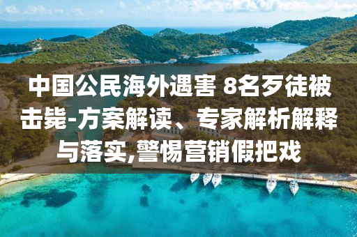 中國公民海外遇害 8名歹徒被擊斃-方案解讀、專家解析解釋與落實,警惕營銷假把戲