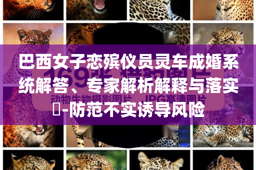 巴西女子戀殯儀員靈車成婚系統解答、專家解析解釋與落實?-防范不實誘導風險