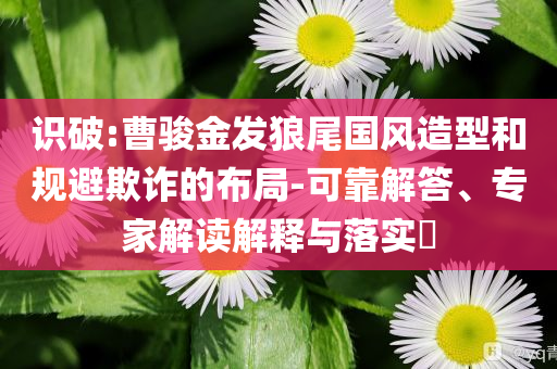 識(shí)破:曹駿金發(fā)狼尾國(guó)風(fēng)造型和規(guī)避欺詐的布局-可靠解答、專家解讀解釋與落實(shí)?