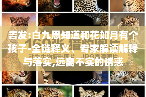 king擺渡 第362頁