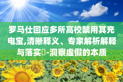 羅馬仕回應多所高校禁用其充電寶,清晰釋義、專家解析解釋與落實?-洞察虛假的本質
