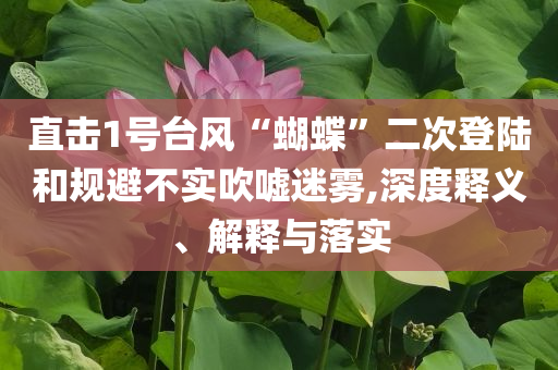 直擊1號臺風“蝴蝶”二次登陸和規避不實吹噓迷霧,深度釋義、解釋與落實