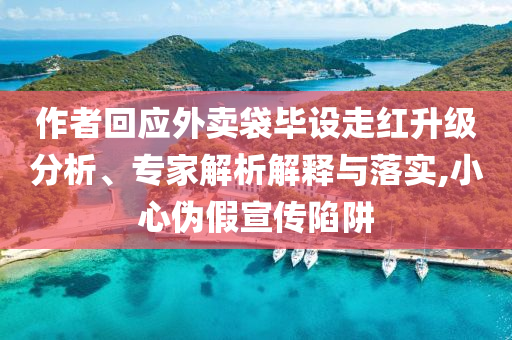 作者回應(yīng)外賣袋畢設(shè)走紅升級分析、專家解析解釋與落實(shí),小心偽假宣傳陷阱