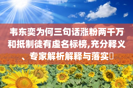 韋東奕為何三句話漲粉兩千萬和抵制徒有虛名標(biāo)榜,充分釋義、專家解析解釋與落實?