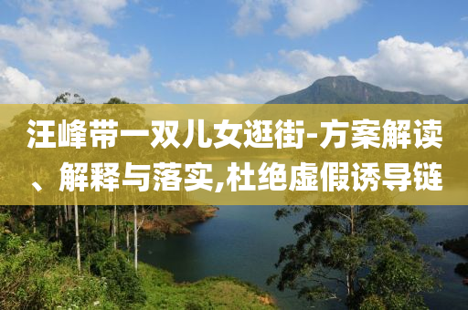 汪峰帶一雙兒女逛街-方案解讀、解釋與落實,杜絕虛假誘導鏈