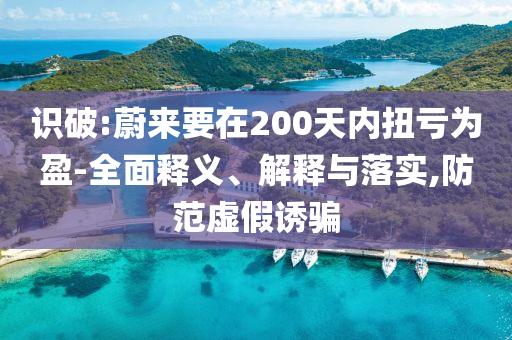 識破:蔚來要在200天內扭虧為盈-全面釋義、解釋與落實,防范虛假誘騙