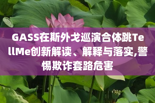 GASS在斯外戈巡演合體跳TellMe創(chuàng)新解讀、解釋與落實(shí),警惕欺詐套路危害