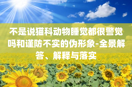 不是說貓科動(dòng)物睡覺都很警覺嗎和謹(jǐn)防不實(shí)的偽形象-全景解答、解釋與落實(shí)