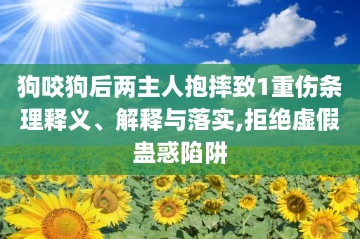 狗咬狗后兩主人抱摔致1重傷條理釋義、解釋與落實,拒絕虛假蠱惑陷阱