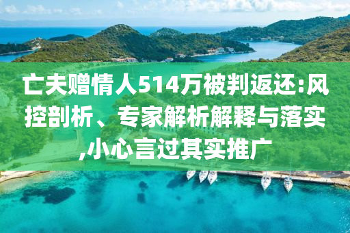 亡夫贈情人514萬被判返還:風控剖析、專家解析解釋與落實,小心言過其實推廣