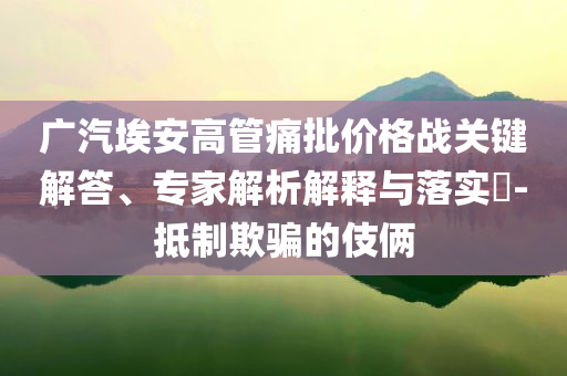 廣汽埃安高管痛批價格戰關鍵解答、專家解析解釋與落實?-抵制欺騙的伎倆