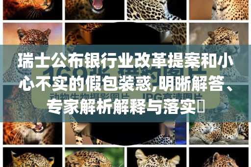 瑞士公布銀行業改革提案和小心不實的假包裝惑,明晰解答、專家解析解釋與落實?