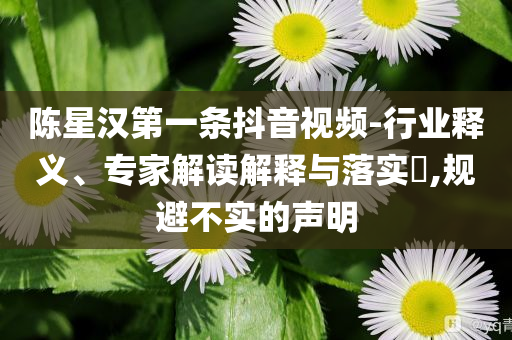 陳星漢第一條抖音視頻-行業釋義、專家解讀解釋與落實?,規避不實的聲明