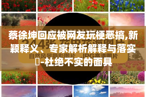 蔡徐坤回應被網友玩梗惡搞,新穎釋義、專家解析解釋與落實?-杜絕不實的面具