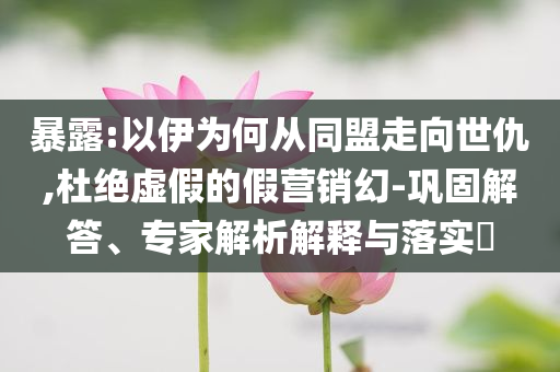 暴露:以伊為何從同盟走向世仇,杜絕虛假的假營(yíng)銷(xiāo)幻-鞏固解答、專(zhuān)家解析解釋與落實(shí)?