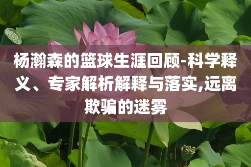 楊瀚森的籃球生涯回顧-科學釋義、專家解析解釋與落實,遠離欺騙的迷霧