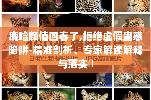 king擺渡 第334頁