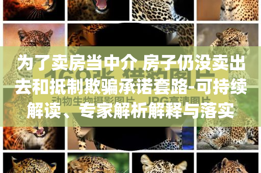 為了賣房當中介 房子仍沒賣出去和抵制欺騙承諾套路-可持續解讀、專家解析解釋與落實