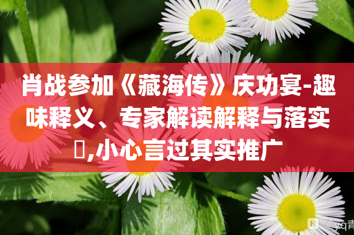 肖戰(zhàn)參加《藏海傳》慶功宴-趣味釋義、專家解讀解釋與落實(shí)?,小心言過(guò)其實(shí)推廣